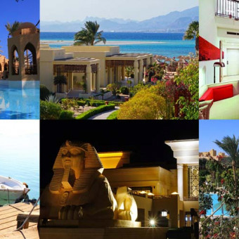 Blog 31 Newsletter Ägypten