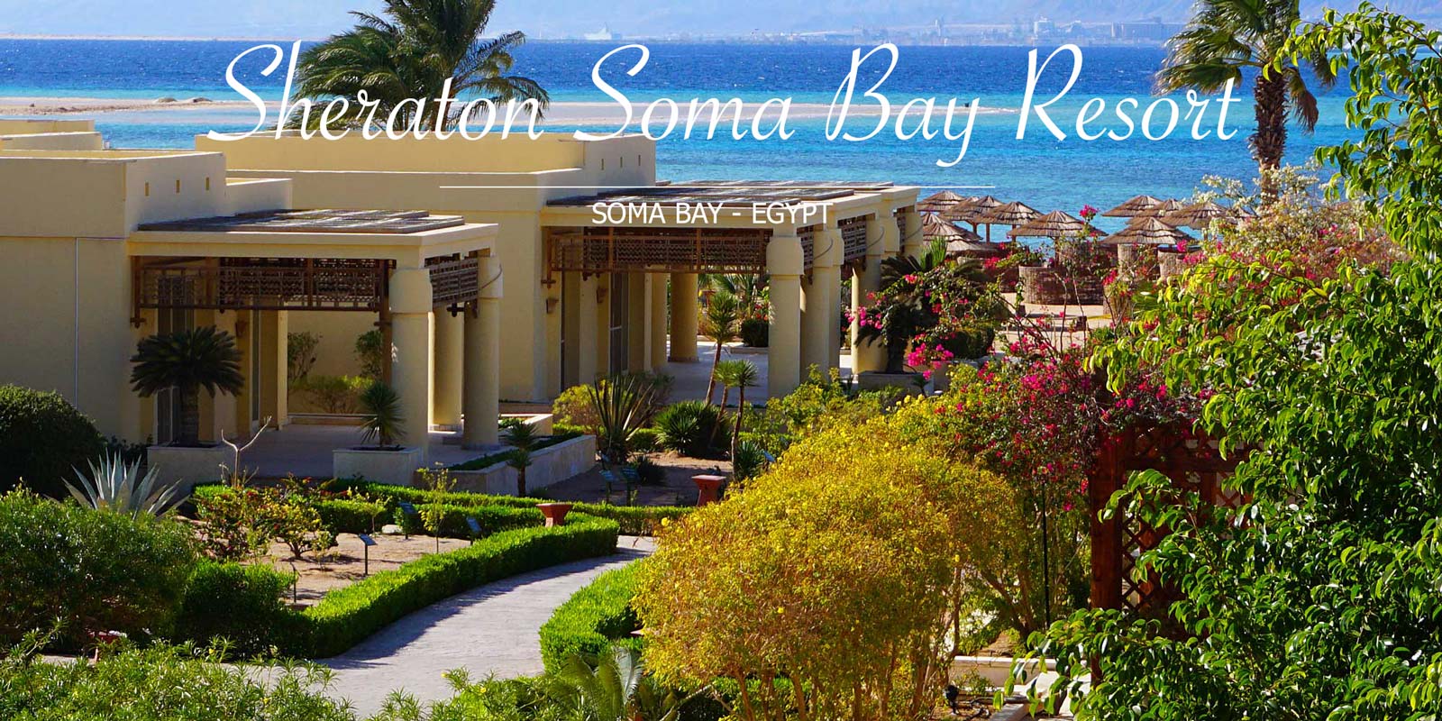 Sheraton Soma Bay Resort Aegypten 47