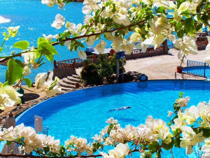 Sultan Bey Hotel El Gouna pool