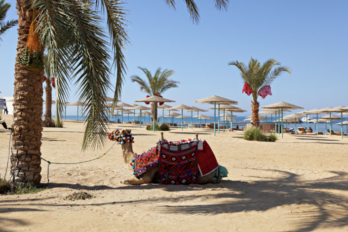 Hurghada Three Corners Sunny Beach Beach 041