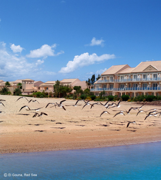 Moevenpick Hotel El Gouna Beache